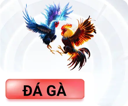 Đá gà Kubet